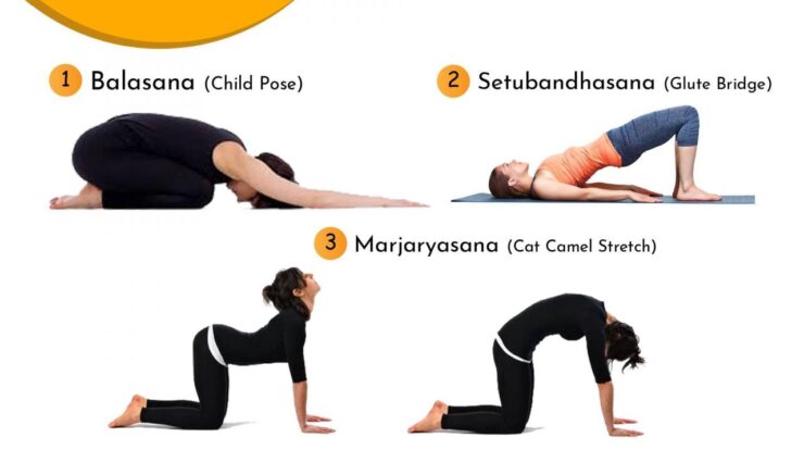 Exercises lower back stenosis pain exercise men spinal physio stretches physiotherapy therapy lumbar physical muscle low workout maya strengthening sciatica